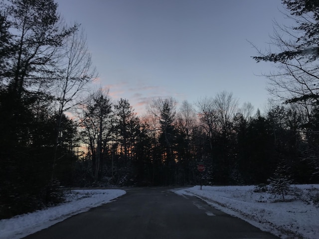 LOT345 Kauffman Rd, Presque Isle, MI 49777 - photo 1