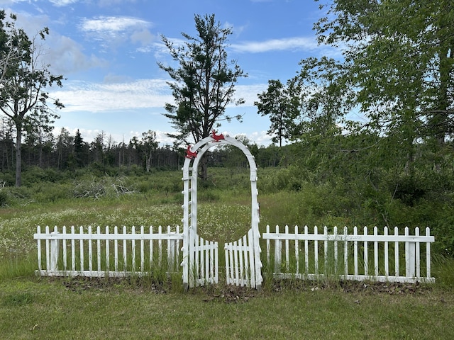 2503 W Hubbard Lake Trl, Hubbard Lake, MI 49747 - view of yard