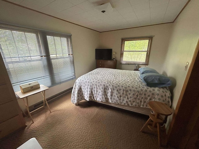 302 S Vine St, Mio, MI 48647 - bedroom with carpet floors and crown molding
