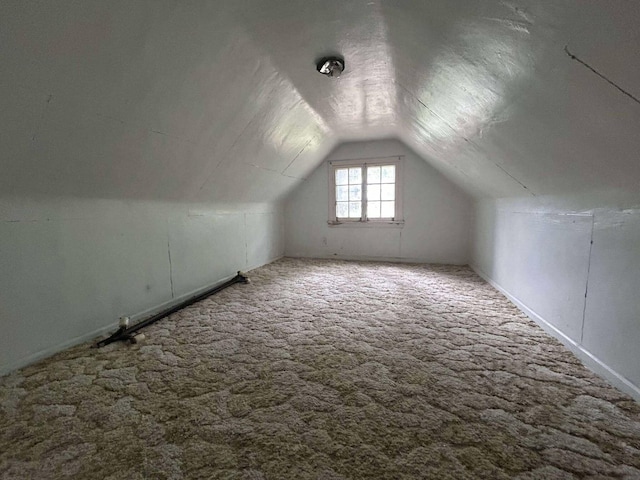 302 S Vine St, Mio, MI 48647 - bonus room featuring lofted ceiling and carpet flooring