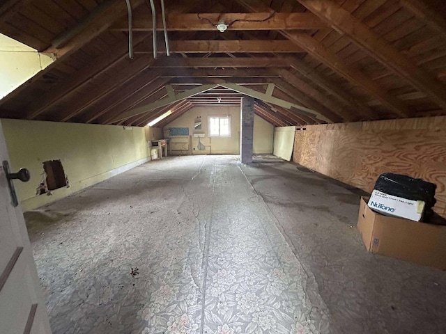 302 S Vine St, Mio, MI 48647 - view of attic