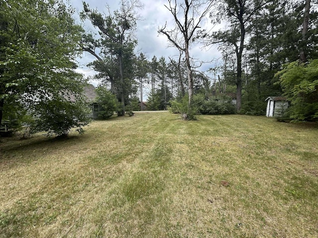 302 S Vine St, Mio, MI 48647 - view of grassy yard with a shed