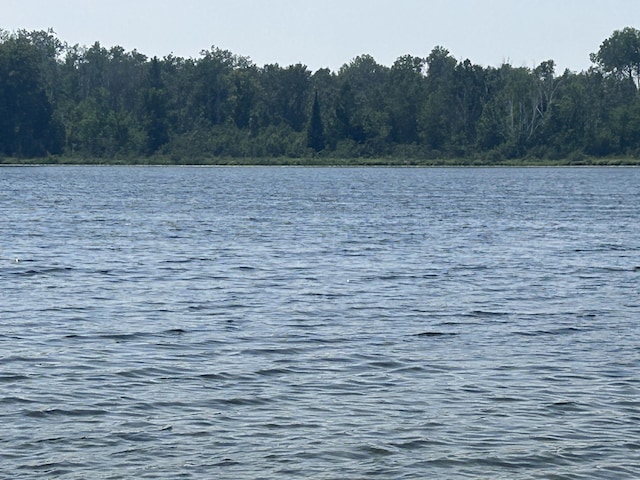 4043 N Lost Lake Trl, Lincoln, MI 48742 - photo 22