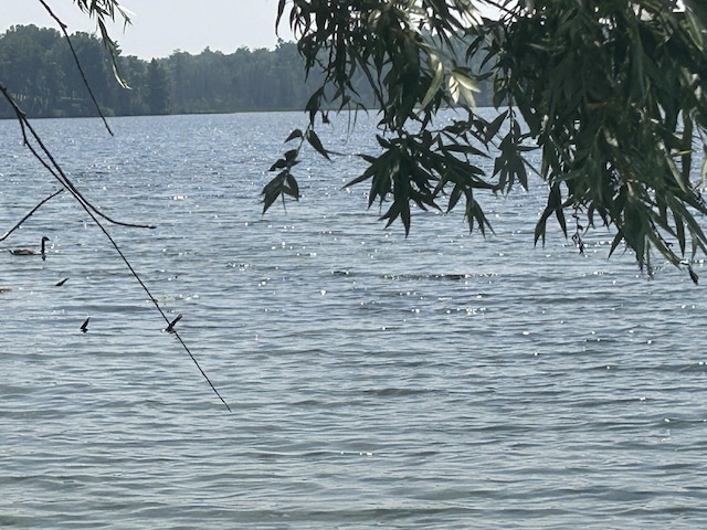 4043 N Lost Lake Trl, Lincoln, MI 48742 - photo 23