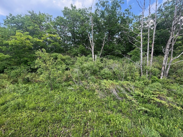 NHN Highland Pines Rd, Presque Isle, MI 49777 - photo 1