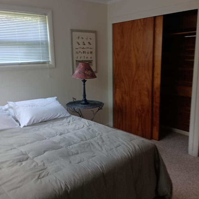 2482 Mckinley Rd, Mio, MI 48647 - photo 15