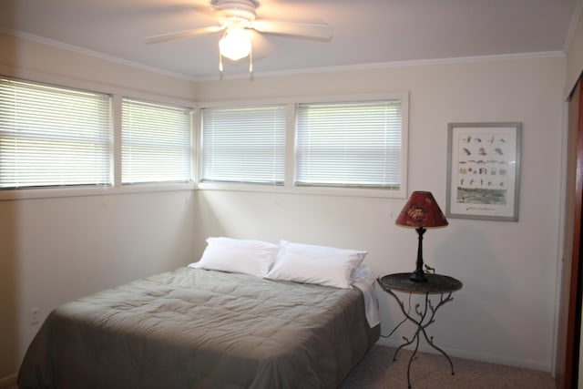 2482 Mckinley Rd, Mio, MI 48647 - photo 14