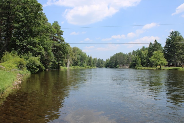 2482 Mckinley Rd, Mio, MI 48647 - photo 25