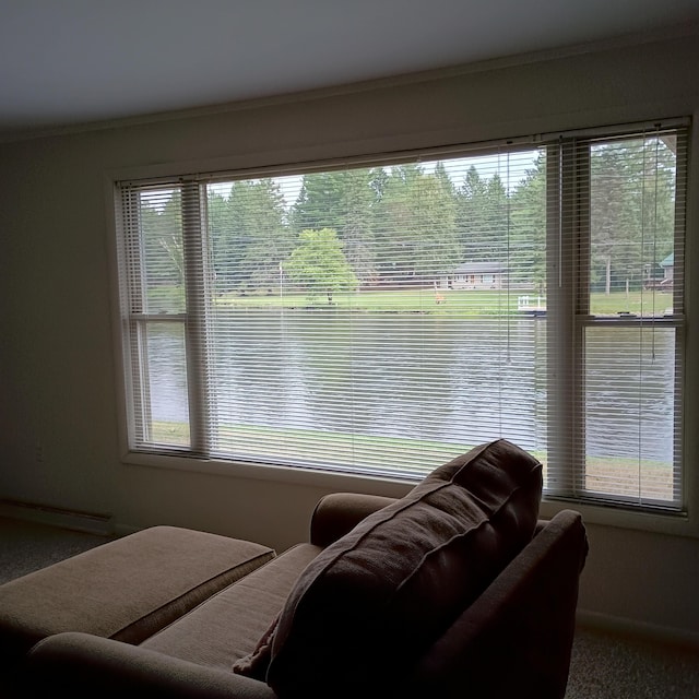 2482 Mckinley Rd, Mio, MI 48647 - photo 8