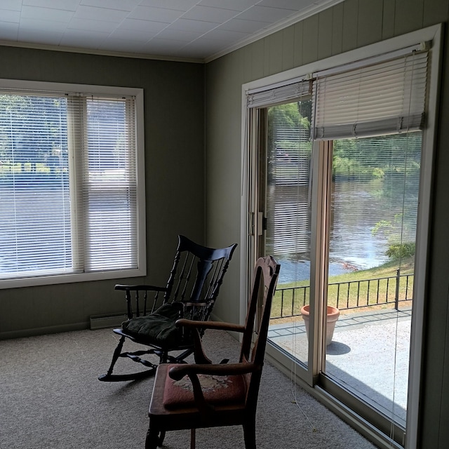 2482 Mckinley Rd, Mio, MI 48647 - photo 13