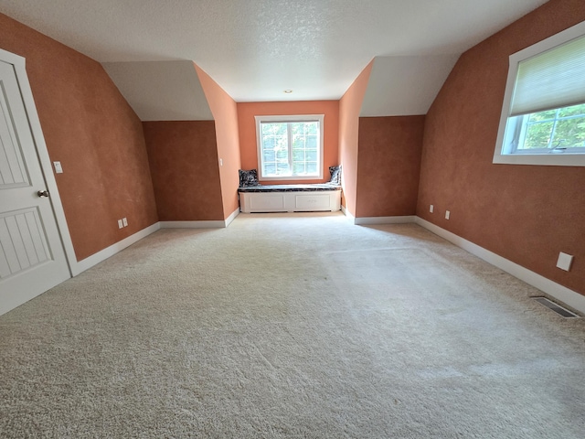 1225 Trowbridge Dr, Alpena, MI 49707 - photo 36