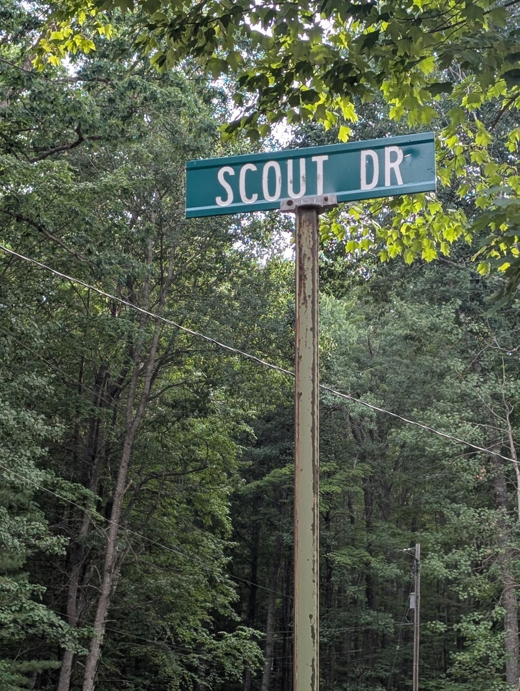 L495 Scout Dr, Roscommon, MI 48653 - photo 1