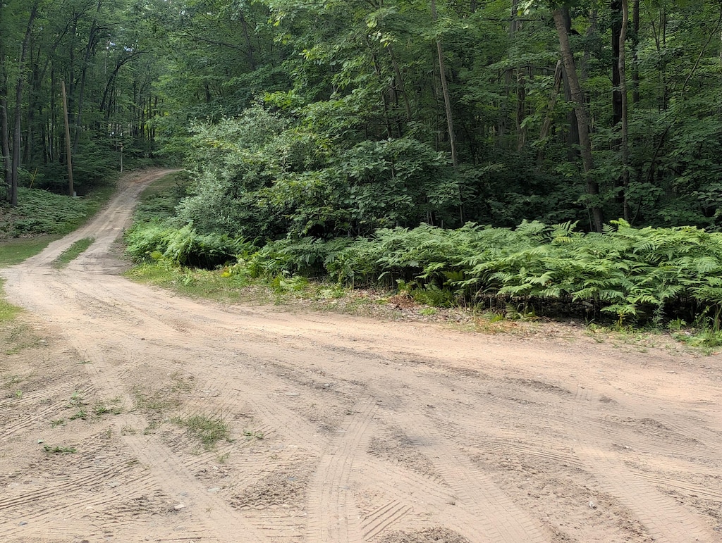 L495 Scout Dr, Roscommon, MI 48653 - photo 3