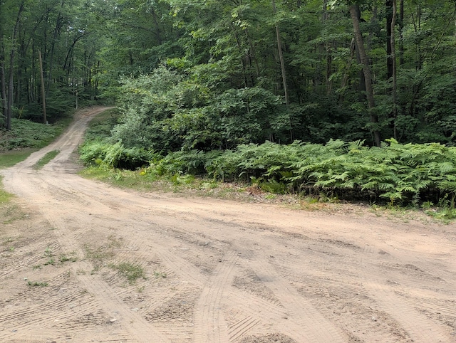 L495 Scout Dr, Roscommon, MI 48653 - photo 3