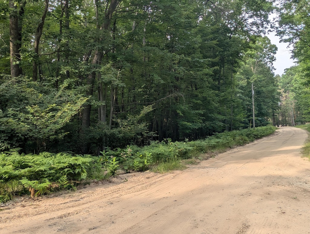 L495 Scout Dr, Roscommon, MI 48653 - photo 4