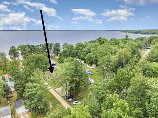 6789 E Houghton Lake Dr, Houghton Lake, MI 48629 - photo 21