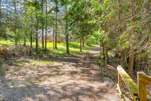 2951 N Palmer Rd, Onaway, MI 49765 - view of nature