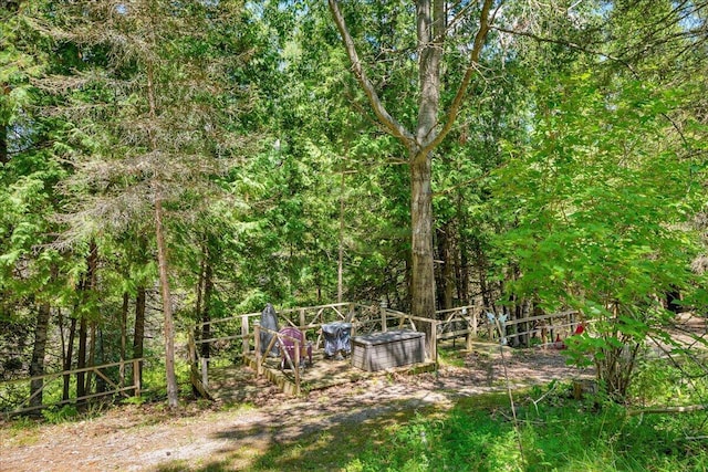 2951 N Palmer Rd, Onaway, MI 49765 - view of yard with a forest view