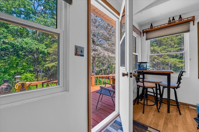 2951 N Palmer Rd, Onaway, MI 49765 - entryway featuring wood finished floors and plenty of natural light