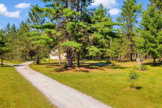 2951 N Palmer Rd, Onaway, MI 49765 - view of community with a lawn and driveway