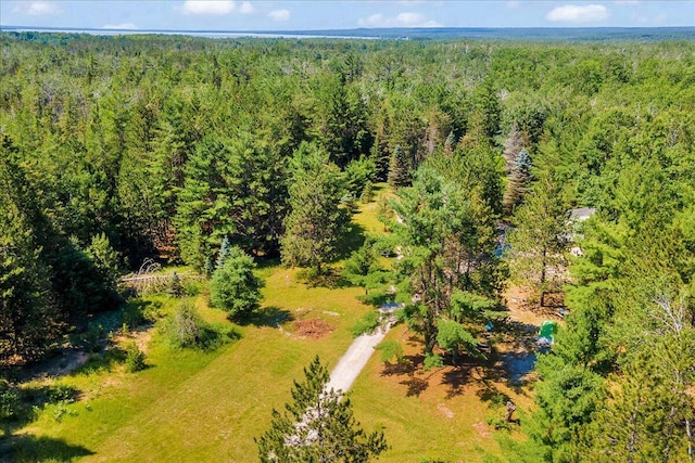 2951 N Palmer Rd, Onaway, MI 49765 - bird's eye view of a heavily wooded area