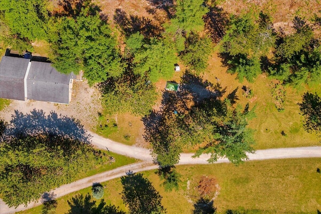 2951 N Palmer Rd, Onaway, MI 49765 - drone / aerial view