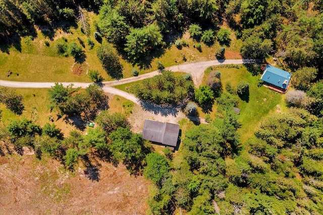 2951 N Palmer Rd, Onaway, MI 49765 - drone / aerial view