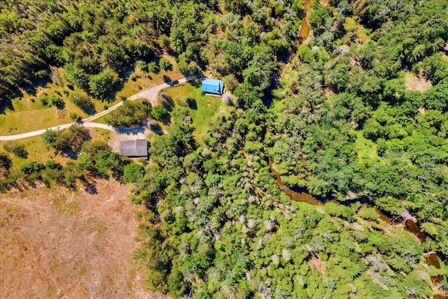 2951 N Palmer Rd, Onaway, MI 49765 - drone / aerial view