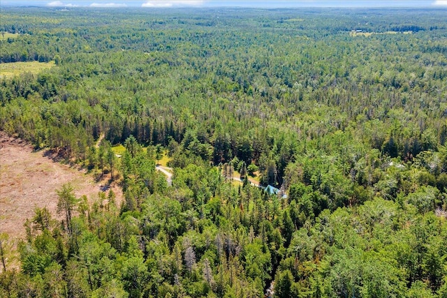 2951 N Palmer Rd, Onaway, MI 49765 - bird's eye view of a heavily wooded area