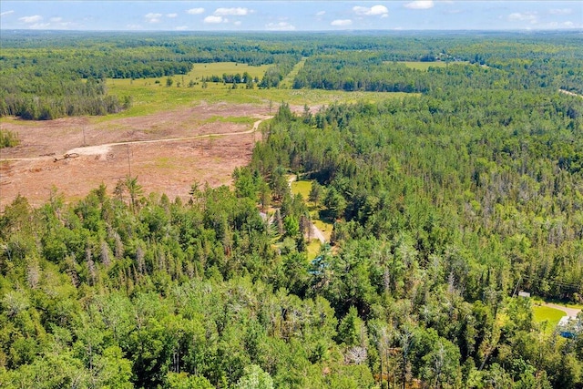 2951 N Palmer Rd, Onaway, MI 49765 - bird's eye view of a heavily wooded area