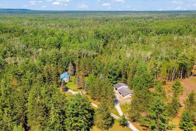 2951 N Palmer Rd, Onaway, MI 49765 - aerial view of property and surrounding area featuring a forest