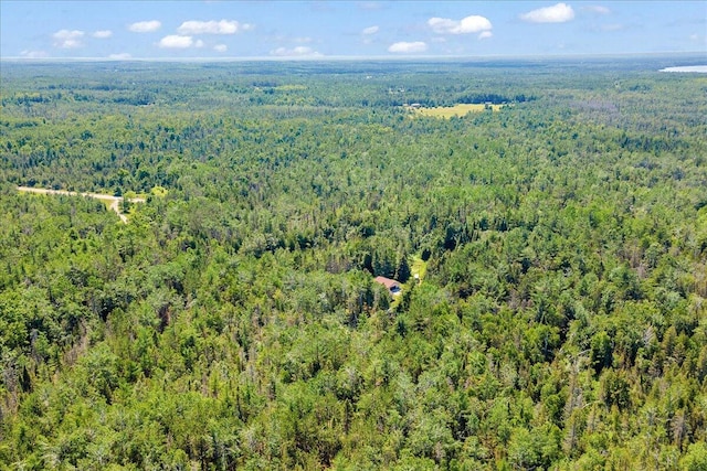 2951 N Palmer Rd, Onaway, MI 49765 - bird's eye view of a forest