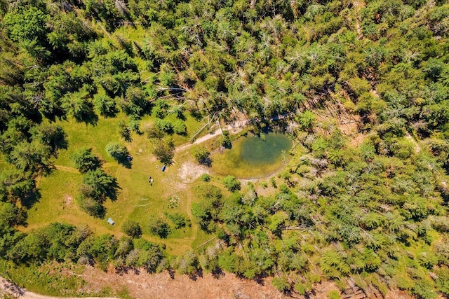 2951 N Palmer Rd, Onaway, MI 49765 - bird's eye view