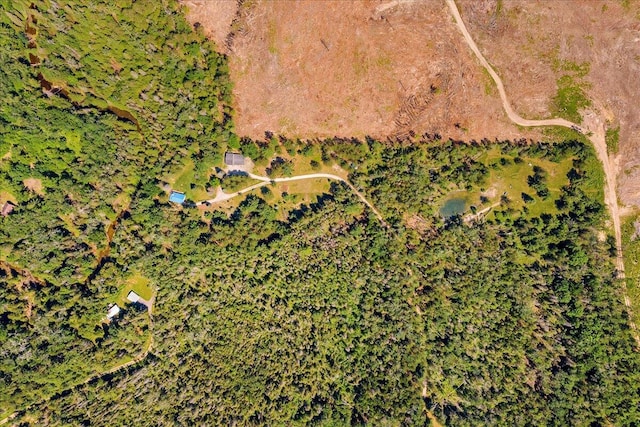 2951 N Palmer Rd, Onaway, MI 49765 - aerial view
