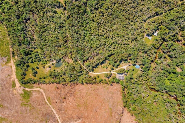 2951 N Palmer Rd, Onaway, MI 49765 - drone / aerial view