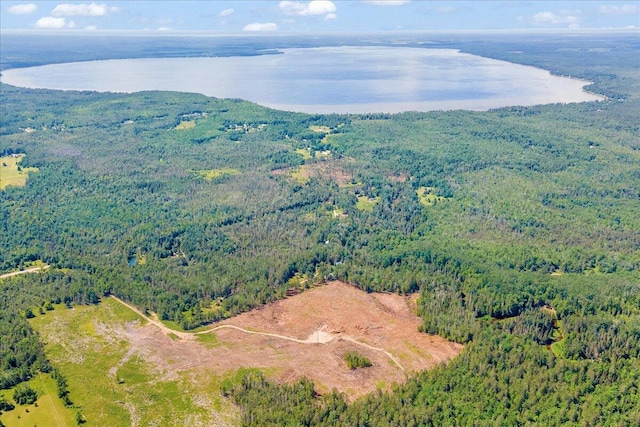 2951 N Palmer Rd, Onaway, MI 49765 - aerial view of property and surrounding area featuring a forest