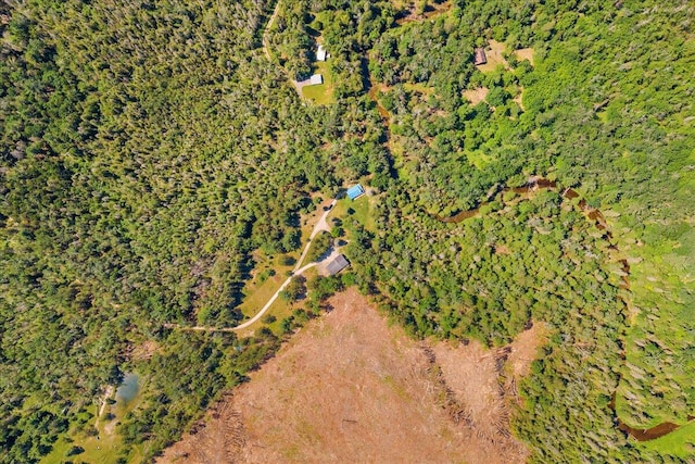 2951 N Palmer Rd, Onaway, MI 49765 - aerial overview of property's location