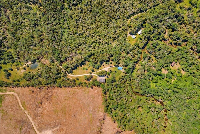 2951 N Palmer Rd, Onaway, MI 49765 - drone / aerial view