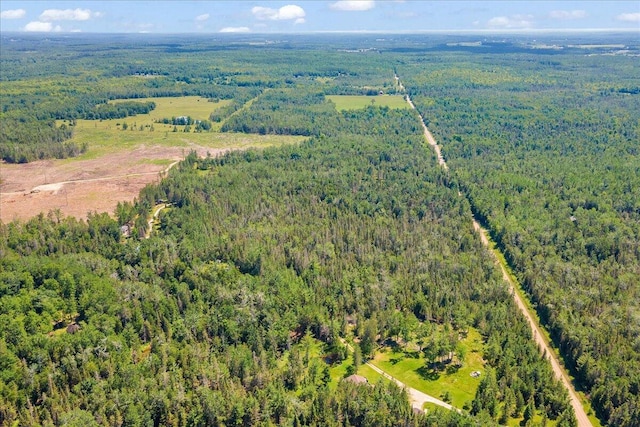2951 N Palmer Rd, Onaway, MI 49765 - view of property location with a forest