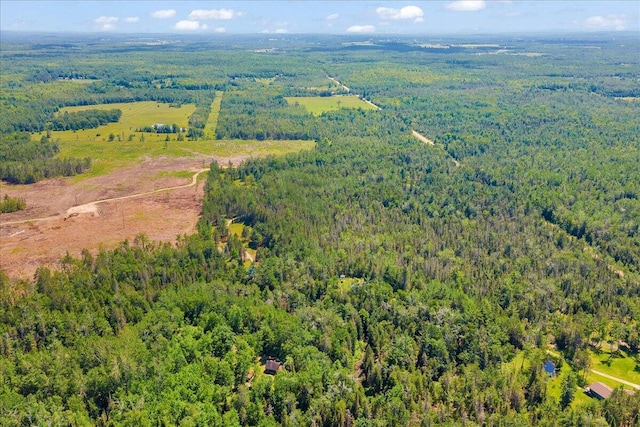 2951 N Palmer Rd, Onaway, MI 49765 - aerial view of a forest