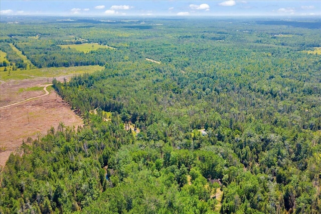 2951 N Palmer Rd, Onaway, MI 49765 - aerial view of property's location with a heavily wooded area