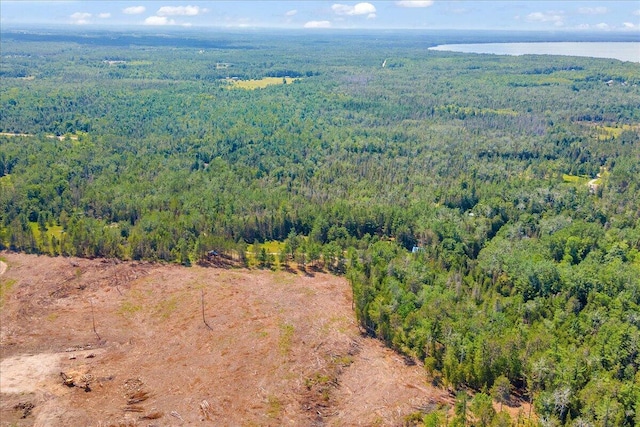 2951 N Palmer Rd, Onaway, MI 49765 - view of property location with a forest