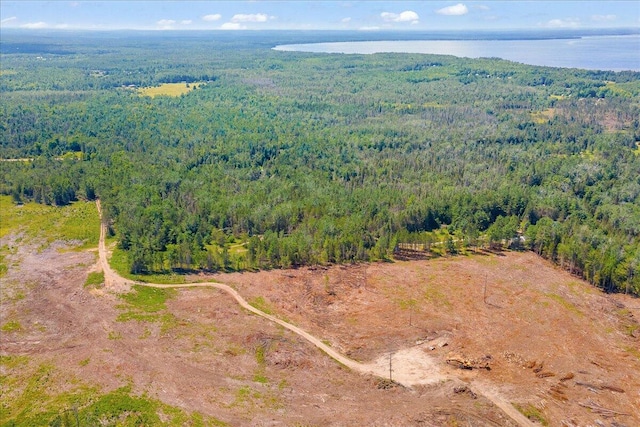 2951 N Palmer Rd, Onaway, MI 49765 - aerial view of property and surrounding area featuring a forest and a nearby body of water