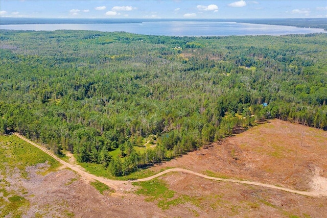 2951 N Palmer Rd, Onaway, MI 49765 - view of property location featuring a forest