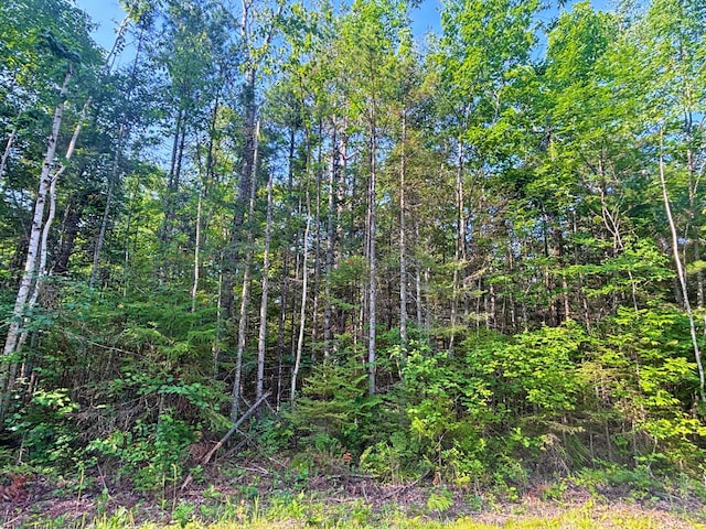 342 Northland Heights Dr, Presque Isle, MI 49777 - photo 1