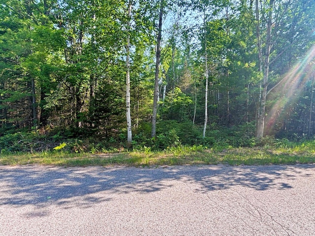 342 Northland Heights Dr, Presque Isle, MI 49777 - photo 4