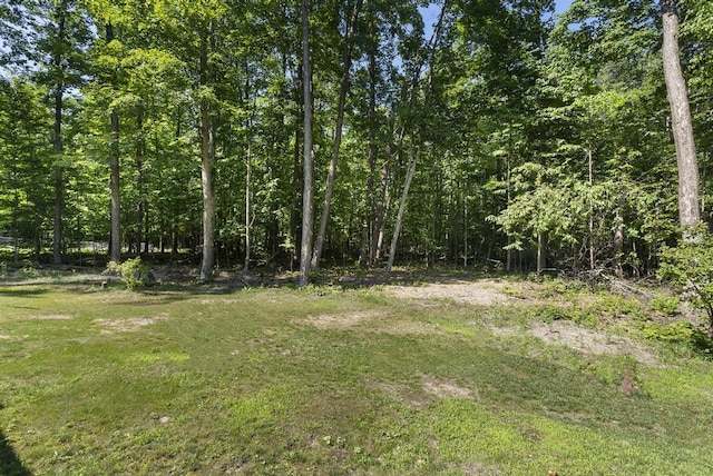9734 W M-68, Alanson, MI 49706 - photo 11