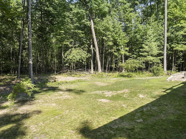 9734 W M-68, Alanson, MI 49706 - photo 41
