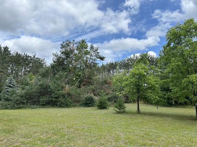 7729 Airport Rd, Vanderbilt, MI 49795 - photo 17