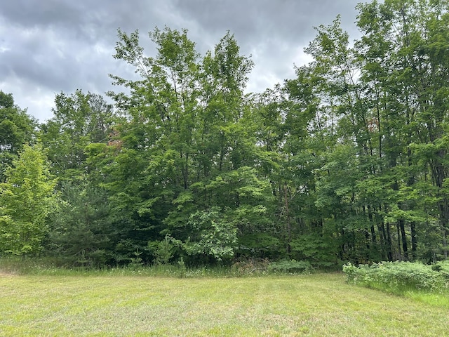 7729 Airport Rd, Vanderbilt, MI 49795 - photo 18